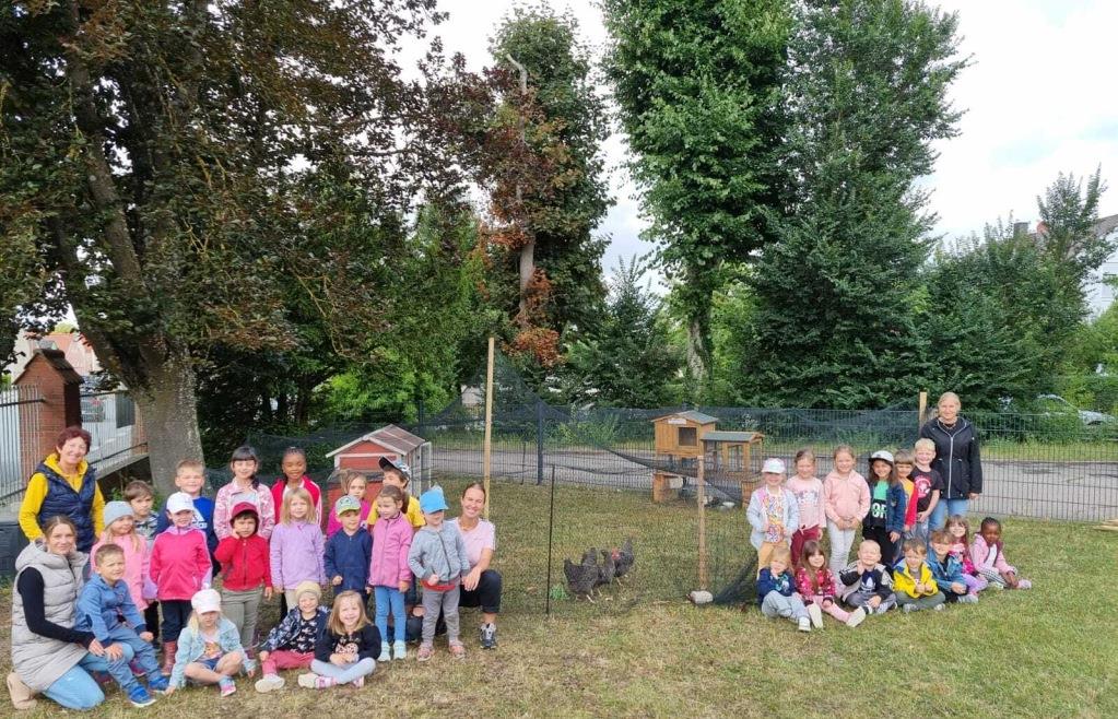 Hühner im Kindergarten