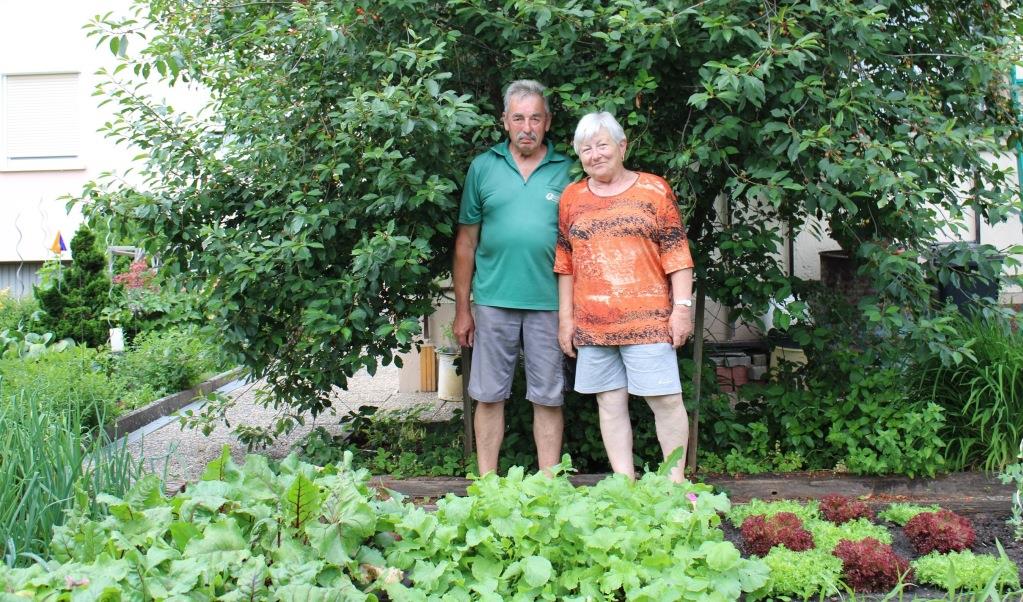 Tag der offenen Gartentür in Bodenwöhr und Bruck zeigt vielfältige ...