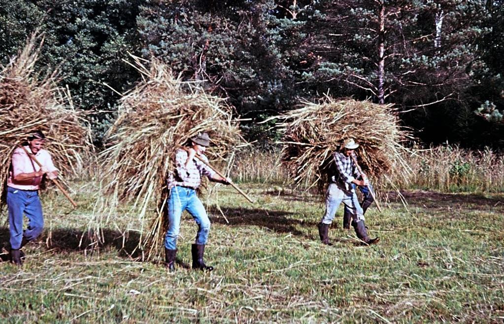 Riedenburg | Landkreis Kelheim | mittelbayerische.de