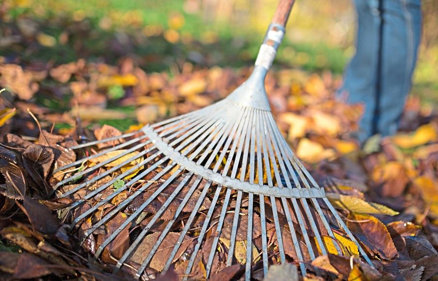 Nicht blitzeblank aufräumen Bund Naturschutz in Schwandorf gibt Tipps