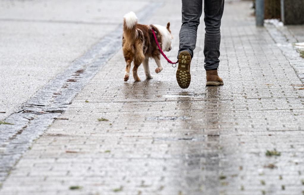 Hund nicht an der Leine geführt Streit in Deining eskaliert