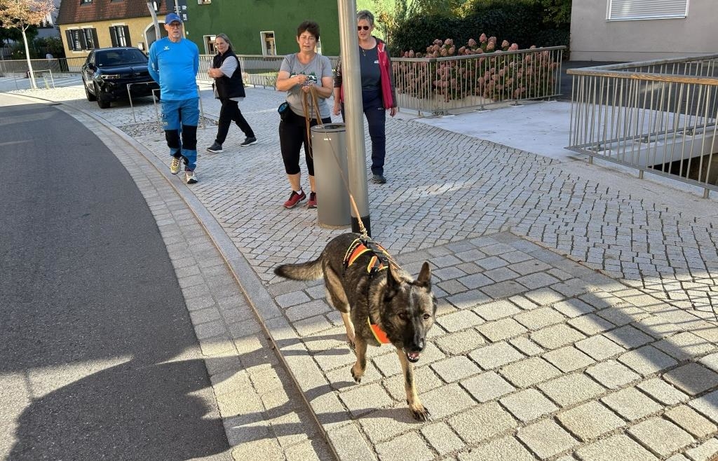 Mantrailing in Furth im Wald: On the trail with a keen canine nose
