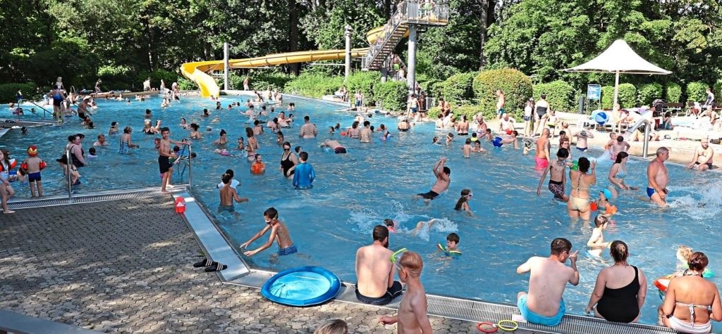 Seahorse isn't enough: Is learning to swim becoming a problem for ...
