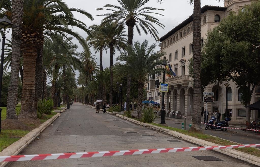 Höchste Warnstufe für Mallorca wegen erwarteten Starkregens ausgerufen 