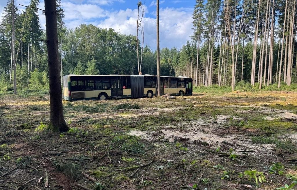 Fahrer folgte dem Navi: Gelenkbus bleibt in Oberbayern im Wald stecken