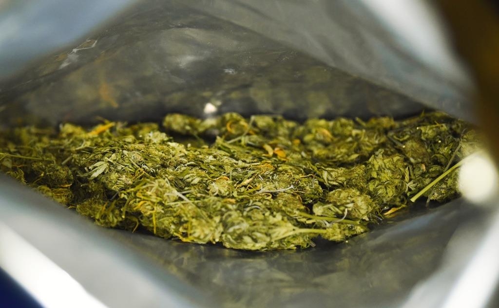 Cannabis in der Mikrowelle – Busfahrer muss sich in Neumarkt vor ...