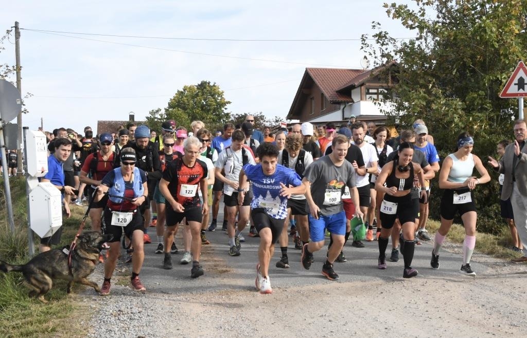 Trail Run in Bernhardswald: Der Landkreis kürt schnellste Läufer