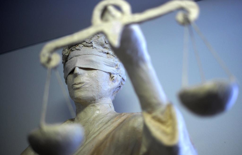 Hearing before the Administrative Court: Dispute over larch tree in Cham ...