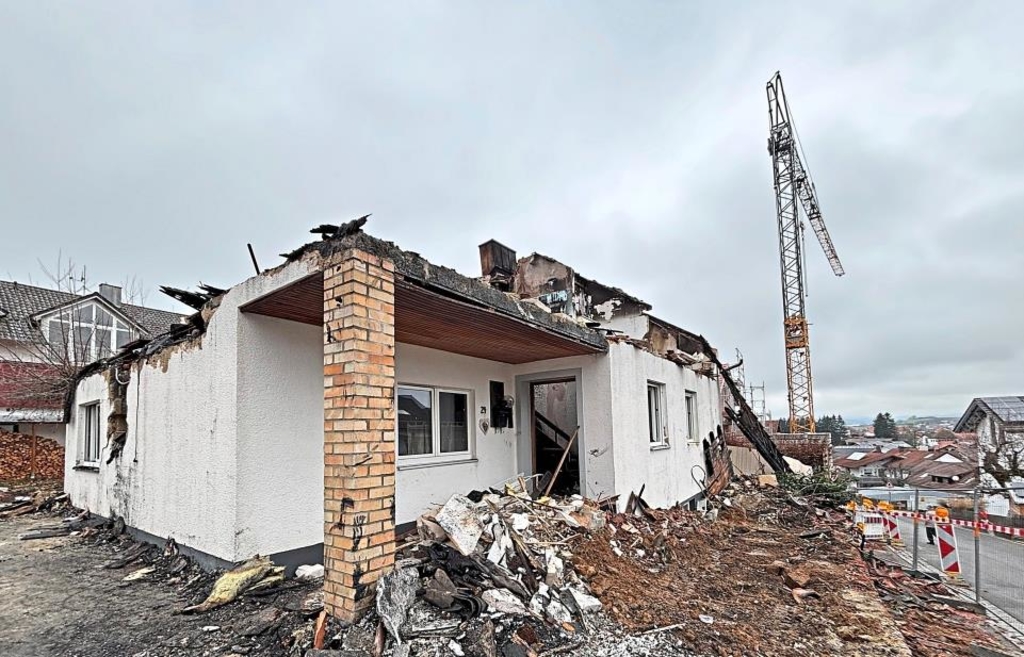 An explosion, a dead wolf, a knife attack: Three cases that are shaking up ...