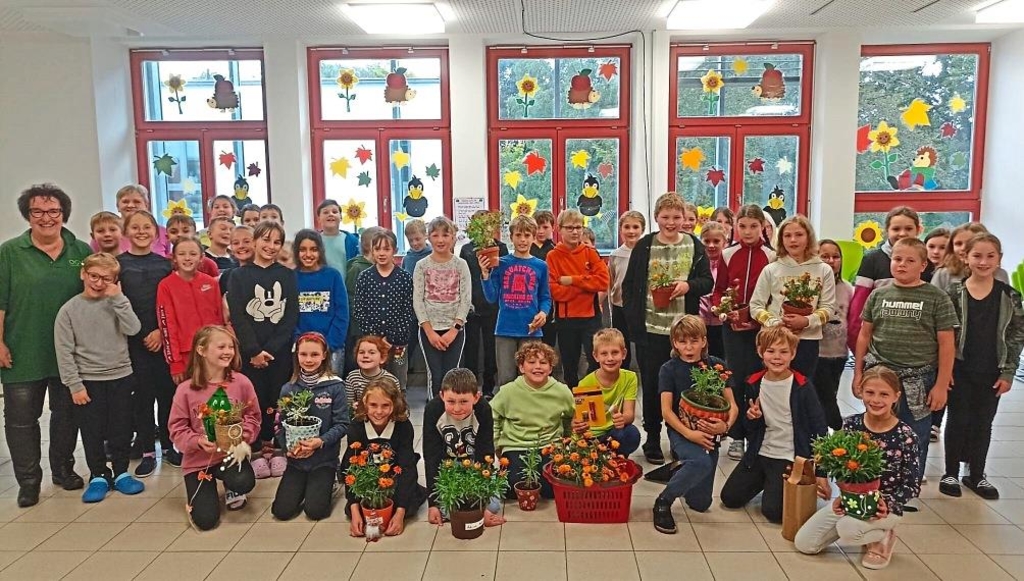 Farbe im Schulalltag: Strohblumen prmiert