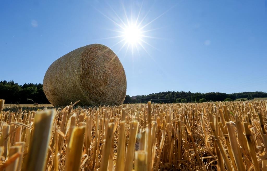 The next heat wave threatens in August: Up to 40 degrees possible