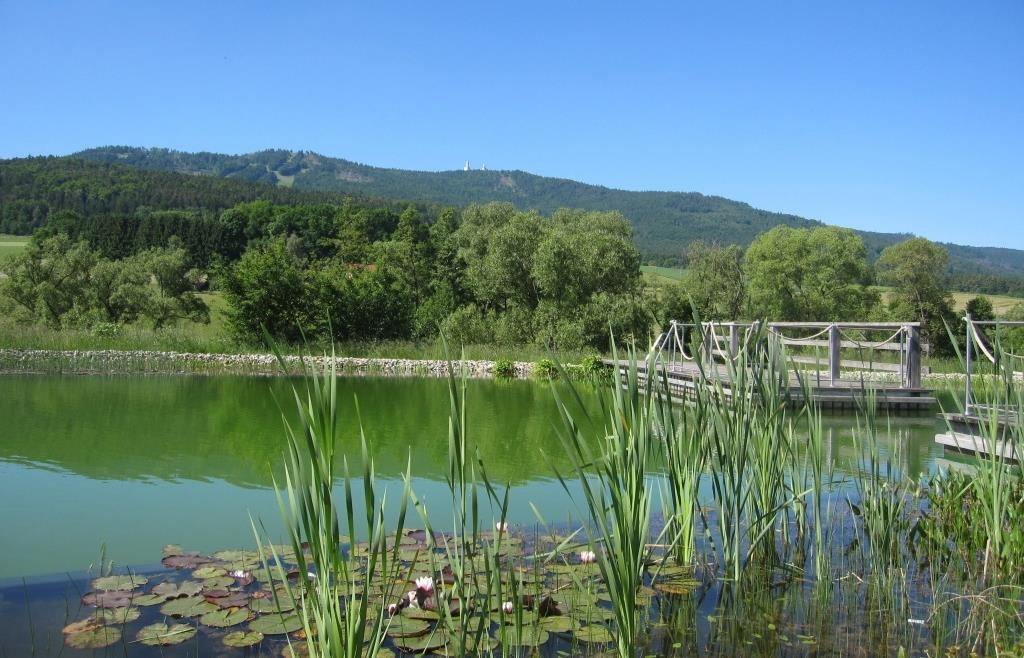 Naturbad Neukirchen b. Hl. Blut zählt zu den fünf beliebtesten Freibädern ...
